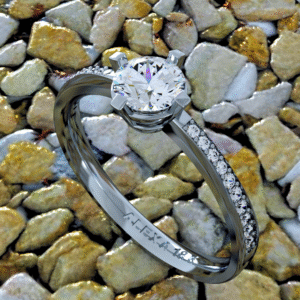 Medieval ( Código 006 )